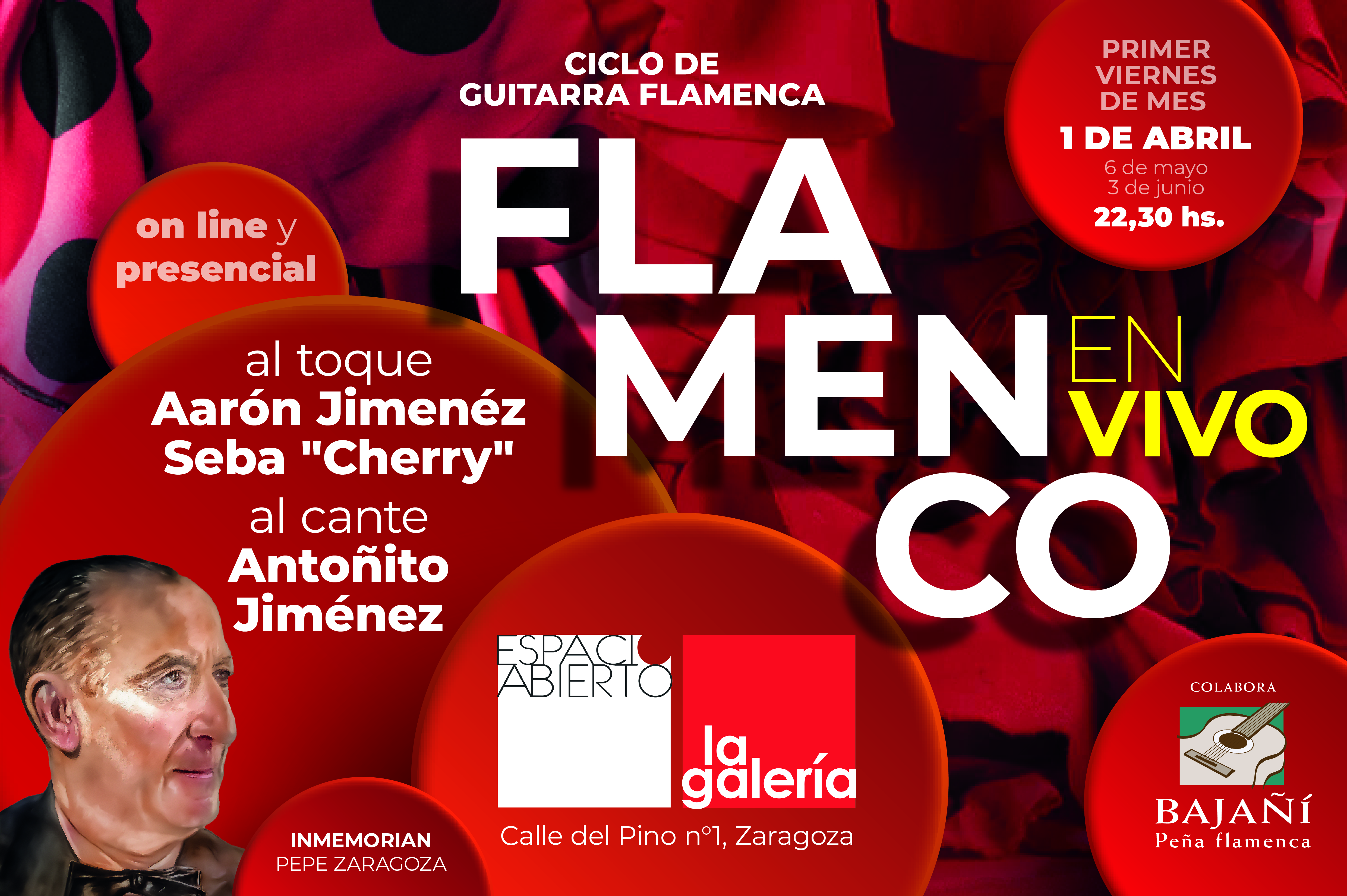 Espacio abierto la galeria flamenco_en_vivo.jpg